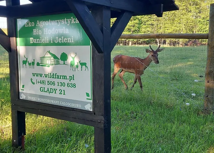 Oaza Spokoju Na Fermie Jeleni Slow Life Apartamenty
