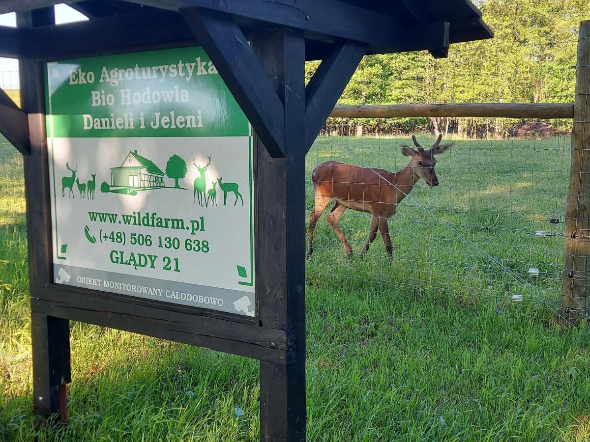 Apartmán Oaza Spokoju Na Fermie Jeleni Slow Life Gorowo Ilaweckie